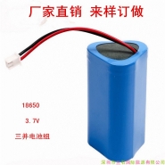 18650 battery pack 10